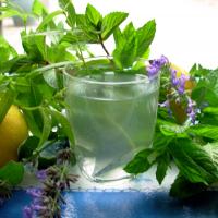 Lemon Verbena and Mint Tea - French Verveine and Mint Tisane_image