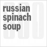 Russian Spinach Soup_image