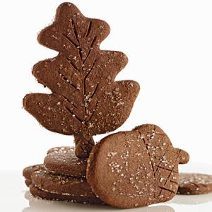 Chocolate Ginger Leaves and Acorns_image