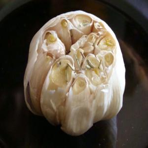 Rosemary Roasted Garlic_image