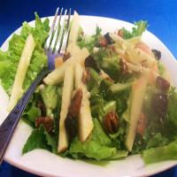 Apple, Dried Cherry, and Pecan Salad With Maple Dressing_image