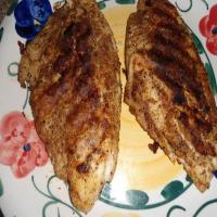 Grilled Seasoned Catfish Filets_image