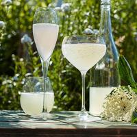 Elderflower champagne image