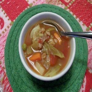 Country Garden Vegetable Soup by freda_image