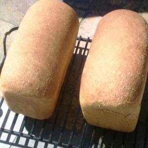 Rebecca's Jewish Rye Bread_image