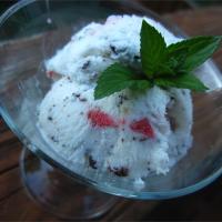 Simple Mint Chocolate Chip Strawberry Ice Cream image