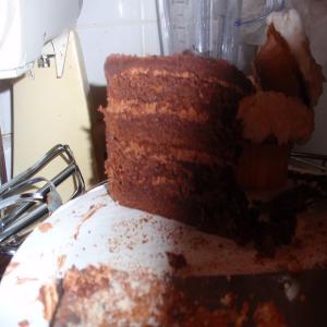 Chocolate Ganache Cake image