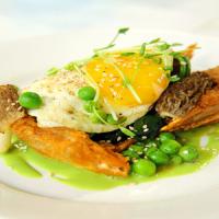 Crispy Soft-Shell Crabs with Pistou and Soft Fried Eggs image