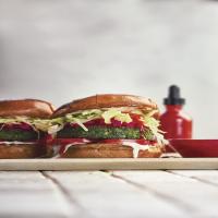 Seared Falafel Burgers_image