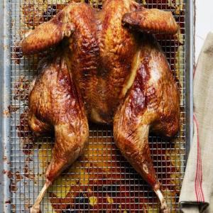 Butterflied Tea- and Orange-Brined Roasted Turkey with Cumin-Coriander Compound Butter_image