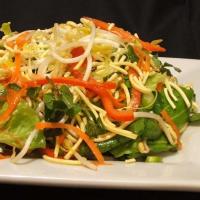 Crispy Noodle Salad With Sweet and Sour Dressing image