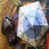 Harry Potter Chocolate Frog_image