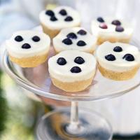 Blueberry lemon cakes with cheesecake topping_image