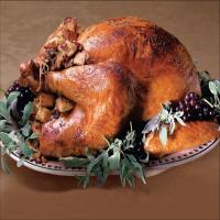 Plum-Glazed Turkey image
