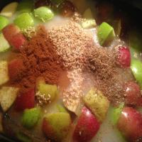 Slow Cooker Overnight Steel Cut Oats With Apples image
