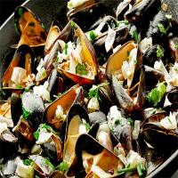 Mussel and shallot broth recipe_image