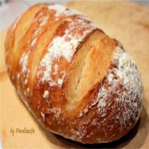 Artisan Bread in Five Minutes A Day Master Recipe Recipe - (4.6/5) image