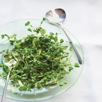 Asparagus and Pea Shoot Salad image