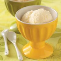 Vanilla Ice Cream image