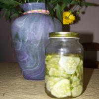 Refrigerator Cucumber Salad_image