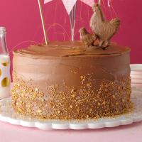 Sour Cream Chocolate Cake image
