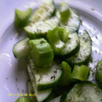 Scandinavian Cucumber Salad_image