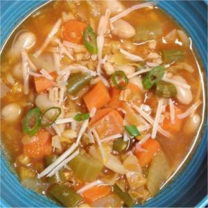 Vegetable Barley Soup - Instant Pot_image