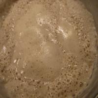 Sourdough Starter from Flakes_image