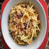 Apple and Craisin Coleslaw image
