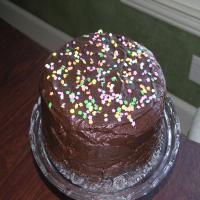 Hanukkah Gelt Double Fudge Chocolate Layer Cake image