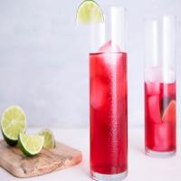 Cape Cod (Vodka Cranberry) Cocktail_image