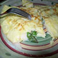 Perfect Omelette for One_image