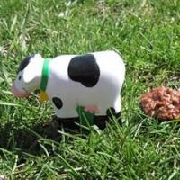 Cow Patty Cookies_image