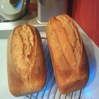 Wheat Sandwich Bread from Amish Starter_image
