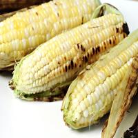 In-their-husks grilled corn on the cob_image