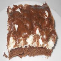 Mississippi Mud Cake/Brownies_image