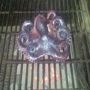 Grilled Octopus_image
