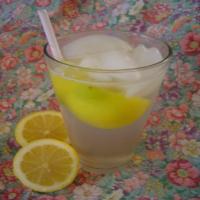 Lemon Shake-Ups_image