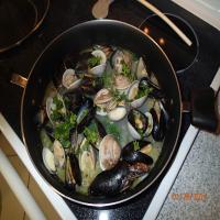 Mussels and Clams over shell pasta Recipe - (4.3/5)_image