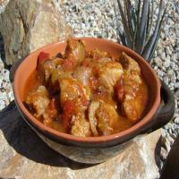 Fay's Green Chile Stew (Chile Verde)_image
