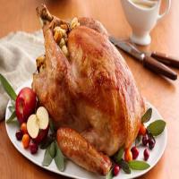 Glazed Roast Turkey with Cranberry Stuffing image