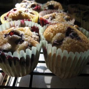 Blueberry Muffins image