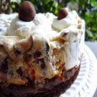 Chocolate Malt Ice-Cream Cake_image