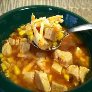 Salsa Chicken Soup_image