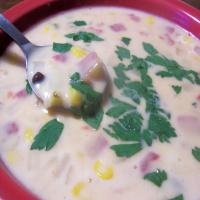 Southwest Cheese Soup_image