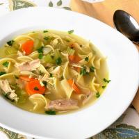Chicken Noodle Soup with Egg Noodles_image