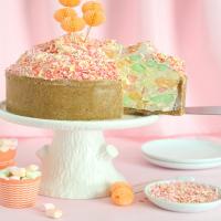 Fruity Marshmallow Cheesecake_image