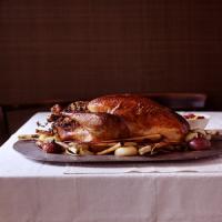 Perfect Roast Turkey 101_image