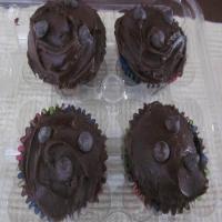DIABETIC CHOCOLATE CUPCAKES WITH FUDGE FROSTING_image