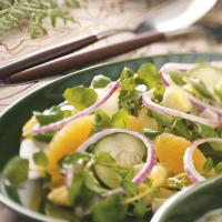 Endive Watercress Salad_image